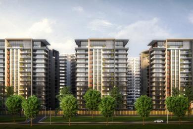 ADEN HOUSE-2